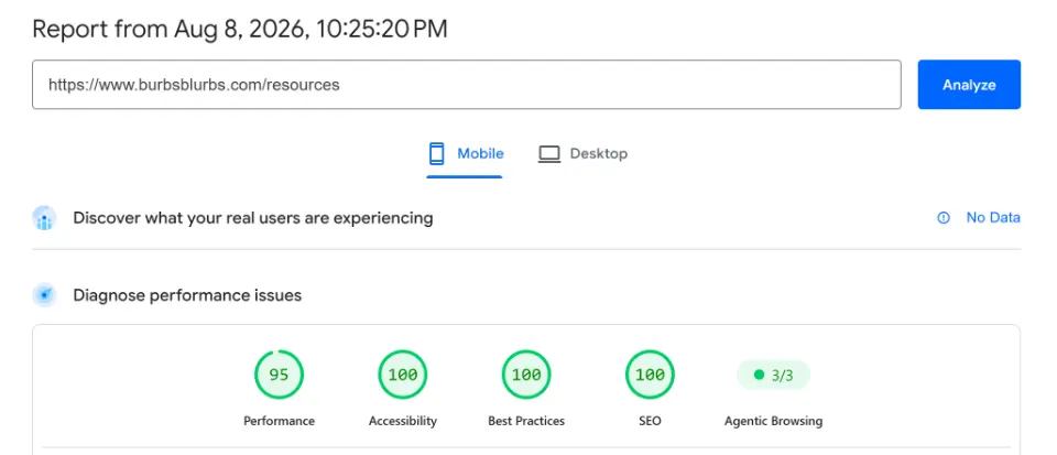 Google PageSpeed Insights results for Burbs Blurbs Resources page