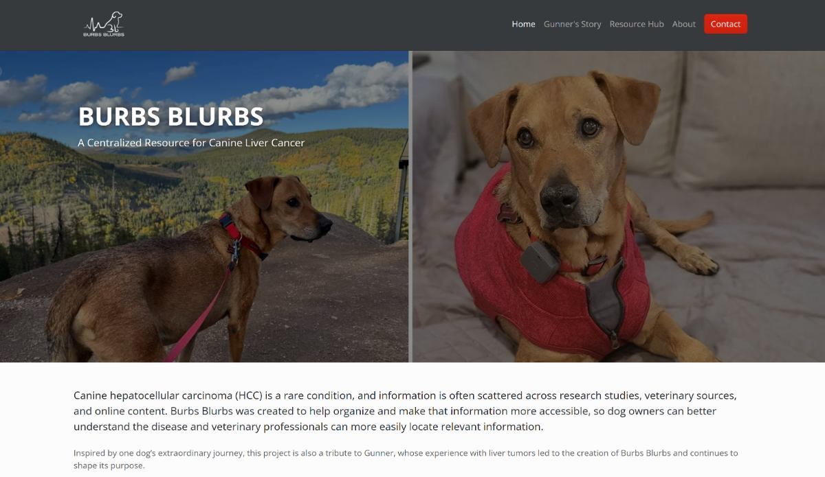 Screenshot of the Burbs Blurbs website