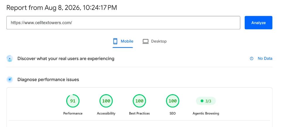 Google PageSpeed Insights results for CellTex Site Services homepage