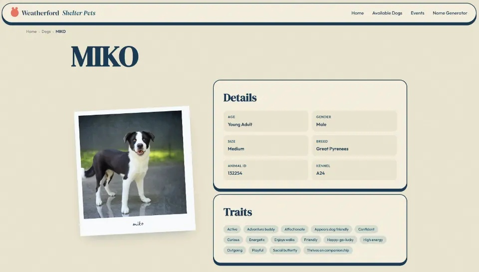 Weatherford Shelter Pets dog profile page