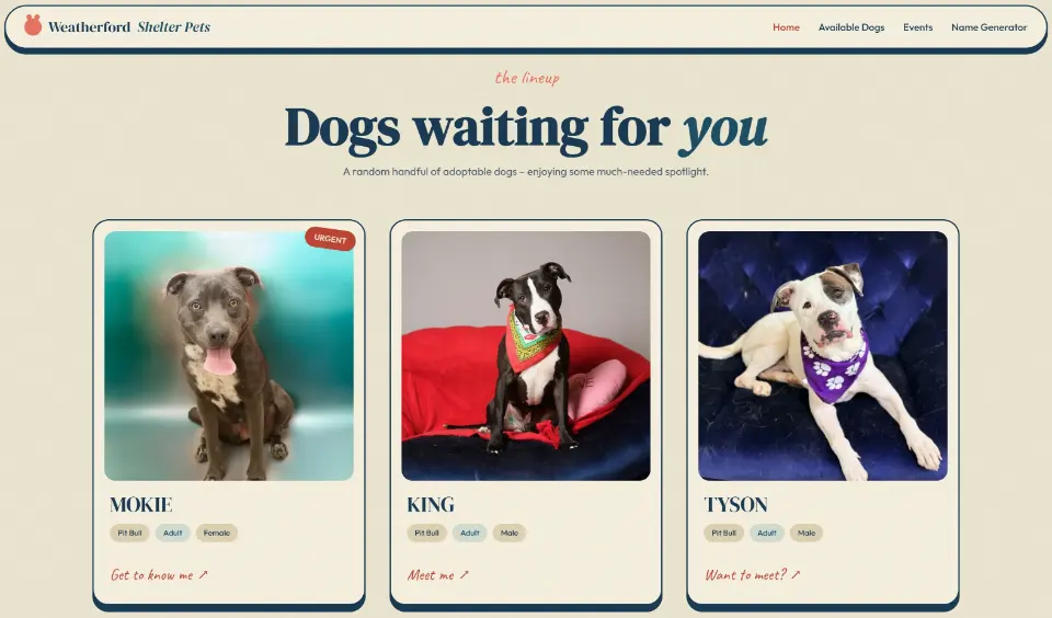 Weatherford Shelter Pets dogs website screenshot
