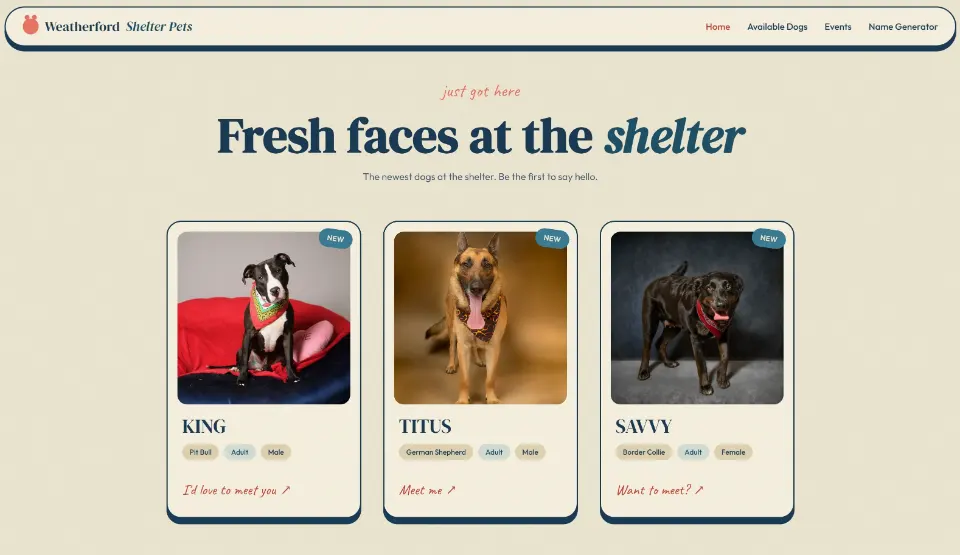Weatherford Shelter Pets new dogs website screenshot