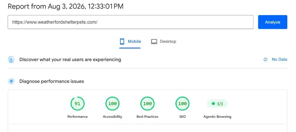 Google PageSpeed Insights results for Weatherford Shelter Pets homepage