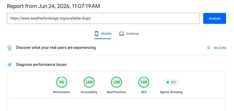 Google PageSpeed Insights results for Weatherford Wags Available Dogs page