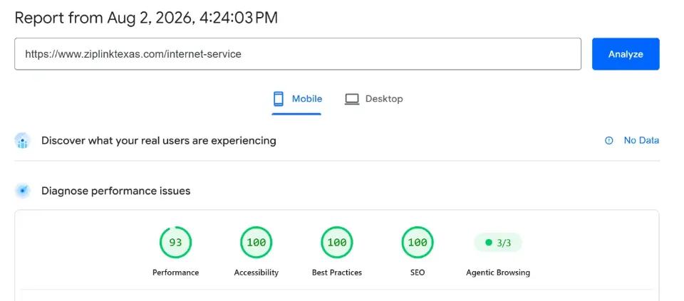 Google PageSpeed Insights results for ZipLink Internet Service page